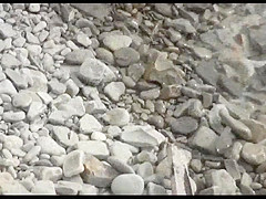 At a public beach man share his wife with a stranger voyeur_720p