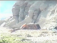 Shy couple caught on the nudist beach