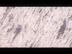 sexy teen beach crotch shot spy 54 55 asian& white cameltoe