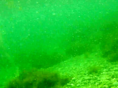 naked woman underwater 1