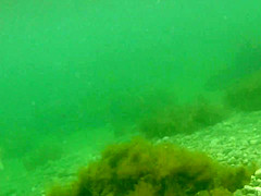 naked woman underwater 1