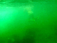 naked woman underwater 1