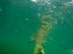 naked woman underwater 1
