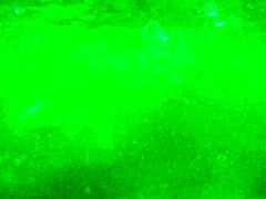 naked woman underwater 1