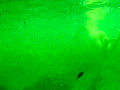 naked woman underwater 1