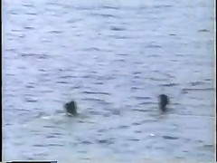 Beach candid topless from 1990