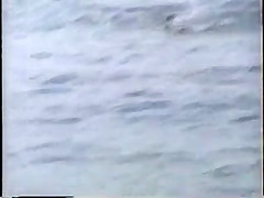 Beach candid topless from 1990