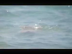 Another Beach Voyeur