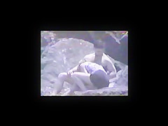 Vintage 1994 - Beach Blow Job Voyeur