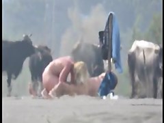 Mature bitch on the beach