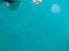 Beautiful breasts under water!