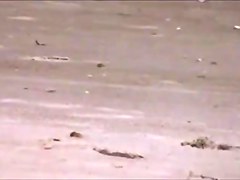 beach blonde w friends cameltoe and ass spy,,,155