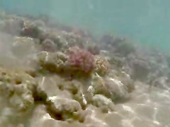 Milf Thong underwater