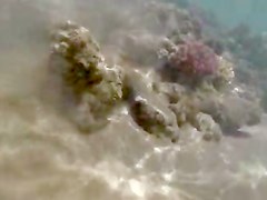 Milf Thong underwater