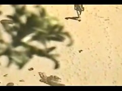 Amateur Beach Sex Compilation