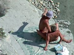 Whale strandings