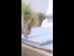 candid fat jiggly beach booty spy 45,, wow