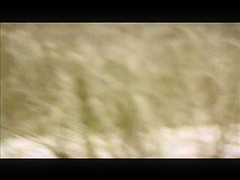 quick beach teen spy 49, skin tight fat cameltoe