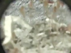 Voyeur sex on beach
