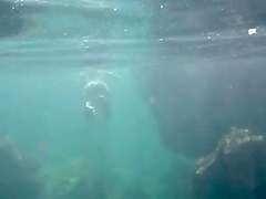 Nudists in the Crimea in 2011. Underwater girl.1