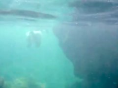 Nudists in the Crimea in 2011. Underwater girl.1