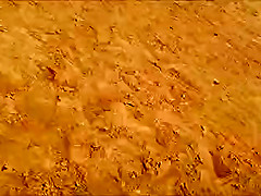 Swedes-Twins in Torrevieja 2