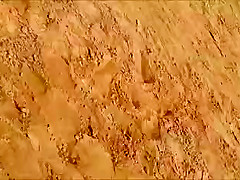 Swedes-Twins in Torrevieja 2