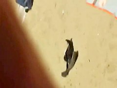 Transparent Bikini 3