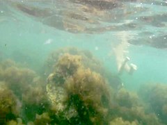 naked woman underwater