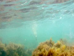 naked woman underwater