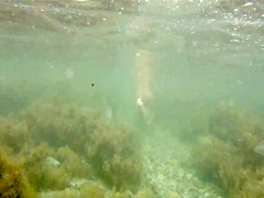 naked woman underwater