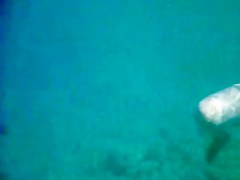 Topless thick MILF under the water for voyeurs