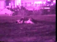 Night Beach Voyeur 7