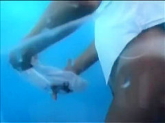 Beach Cabin Cam.2