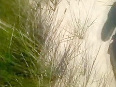 Mature beach voyeured topless (caught!)