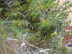 Two nude girls sun bathing on beach.
