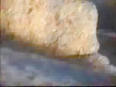 Voyeur video - beach sex