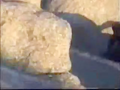 Voyeur video - beach sex