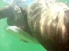 Gordinha toda aberta