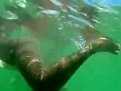 Gordinha toda aberta