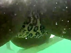 Gordinha toda aberta