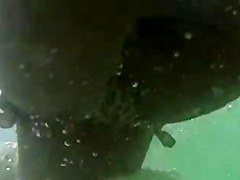 Gordinha toda aberta