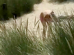 Voyeur video - cutie topless
