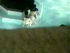 eden beach resort 001