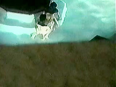 eden beach resort 001