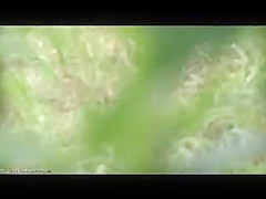 BEACHVOYEUR 261