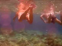 String fish