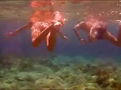 String fish