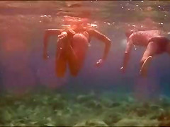 String fish