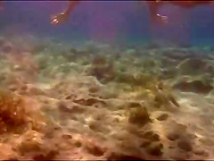 String fish
